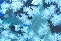 Picture Title - Ice Crystals