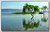 Lake, Sandalwood, Trees and Reflection