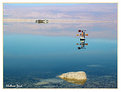 Picture Title - Dead sea illusion