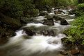 Picture Title - Jones Gap State Park