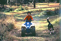 Picture Title - Riding in the backyard