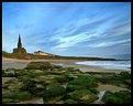 Picture Title - Tynemouth Beach