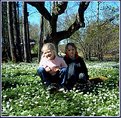 Picture Title - Kids In Anemones