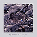 Picture Title - My heart will go on