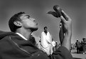 Picture Title - Snake Charmer (Morocco)