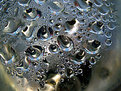 Picture Title - Condensation