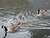 Family Outing in Gas Street Basin (2)