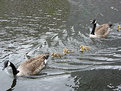 Picture Title - Family Outing in Gas Street Basin (2)