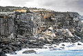 Picture Title - Cliffs of Coogee