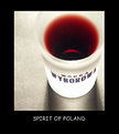 Picture Title - Spirit of Poland