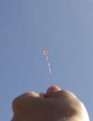 Picture Title - kite