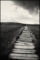 Picture Title - path