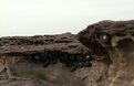 Picture Title - along the cliff face 