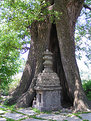 Picture Title - Temple under tree