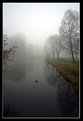 Picture Title -       ...Misty Morning...