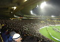 Picture Title - Wellington Rugby Fans