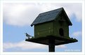 Picture Title - bird house
