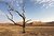 Namib desert