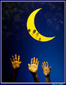 Picture Title - "The Lunar Eclipse"
