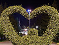 Picture Title - Heart and ligths...