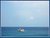 in blue waters....