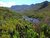 Fynbos Hills