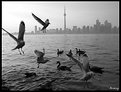 Picture Title - a day break at lake ontario