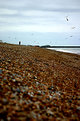 Picture Title - Brighton Seafront