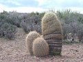 Picture Title - Prairie Porn