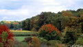 Picture Title - red barn in autumn/Wine contry