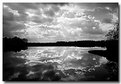 Picture Title - paddy field reflection 2