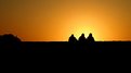 Picture Title - Three  Friends  At  Sunset