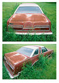 Picture Title - '77 T-Bird:  Rust In Peace