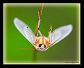 Picture Title - Hanging Around