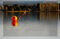 Picture Title - In The Evening