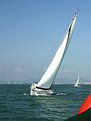 Picture Title - Yatch racing