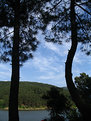 Picture Title - ...