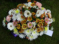 Picture Title - 'First to Arrive' - Funeral Flowers (1)
