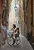 Verona street