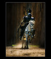 Picture Title - the black knight