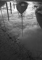 Picture Title - All in a puddle #2