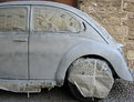 Picture Title - Painted Beetle