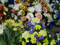 Picture Title - 'Unseen..' - Funeral Flowers (4)