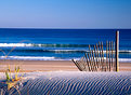 Picture Title - The Hatteras Shore