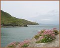 Picture Title - English grass in Ireland