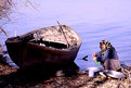 Picture Title - Life at the Lake