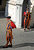 Swiss Guard