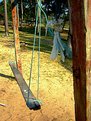 Picture Title - The Swing