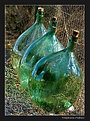 Picture Title - Trasparenze e Riflessi