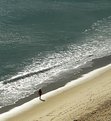 Picture Title - Woman walking...